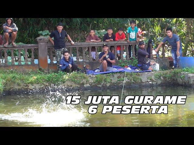 BORONGAN KELAS BERAT 2,5 JUTA PER ORANG MANCING GURAMEH 3 KWINTAL