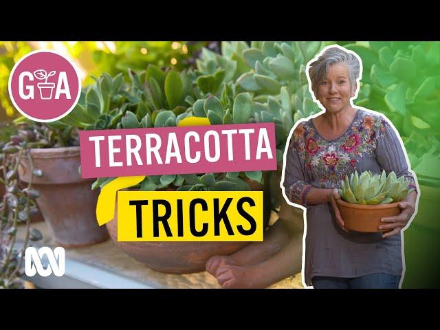 Easy Terracotta Pot Tips and Tricks | Gardening Hacks | Gardening Australia