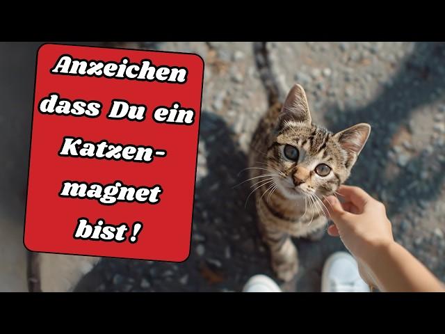 6 Eigenschaften die Katzen LIEBEN und du hast sie vielleicht auch!