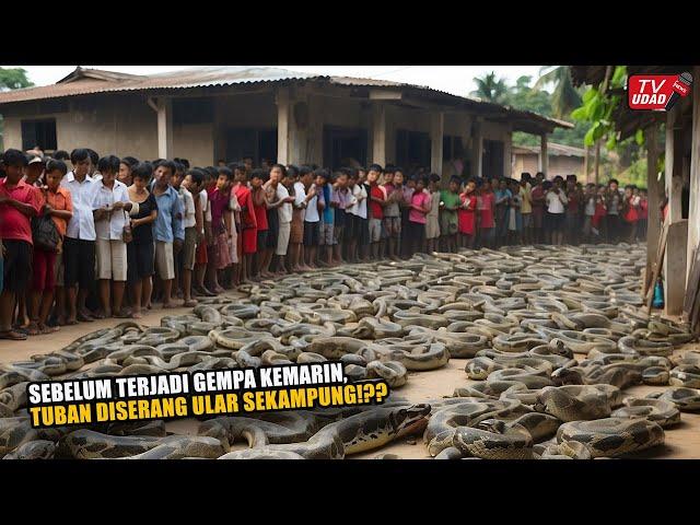 Viral Fenomena Ular Serbu Permukiman Sebelum Gempa Tuban Kemarin!! Tanda Tanda Alam...