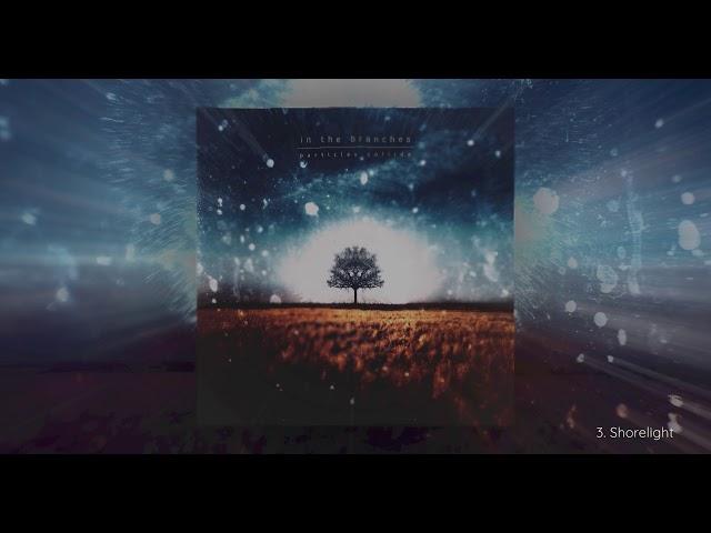 In The Branches - Particles Collide (Full Album, Ambient Guitar Music, 4K UHD) #ambient