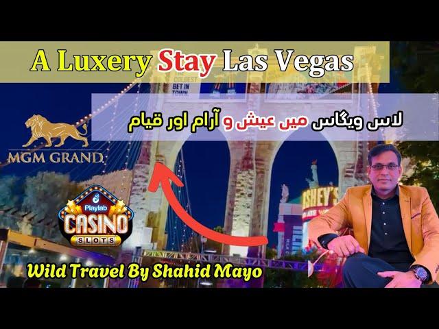 Vegas in Style: Exploring the MGM Grand, Eiffel Tower, and More!