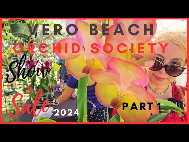 Vero Beach Orchid Society Show & Sale 2024. Amazing finds. Part 1