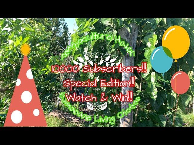 Permaculture Haven Food Forest Tour and 10000 Subscribers Special Edition!