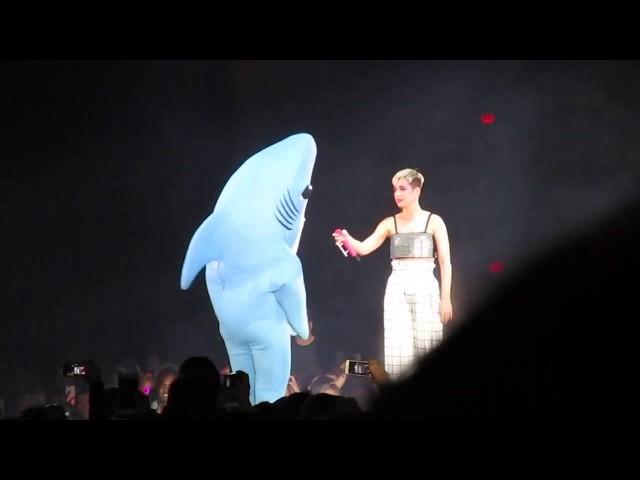 Katy Perry Super Bowl Left Shark''s Second Chance