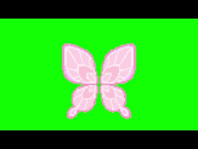 Green Screen Animated Butterfly Wings | Free Download