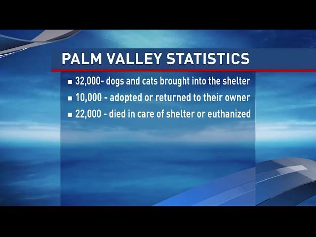 Palm Valley responds to viral video