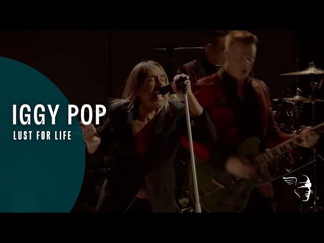 Iggy Pop Lust For Life (Post Pop Depression Live At The Royal Albert Hall)