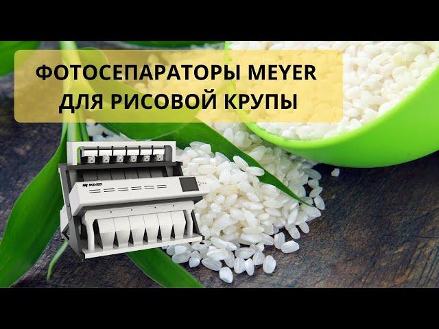 Фотосепаратор Meyer Dream для сортировки и очистки риса - особенности и преимущества.