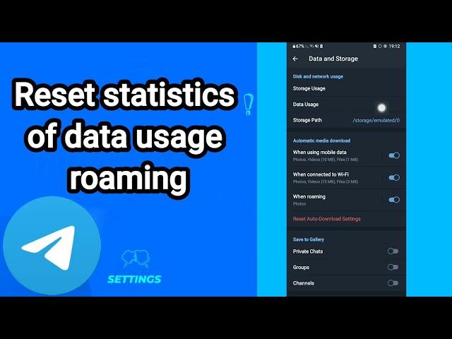 How to reset statistics of data usage roaming On Telegram