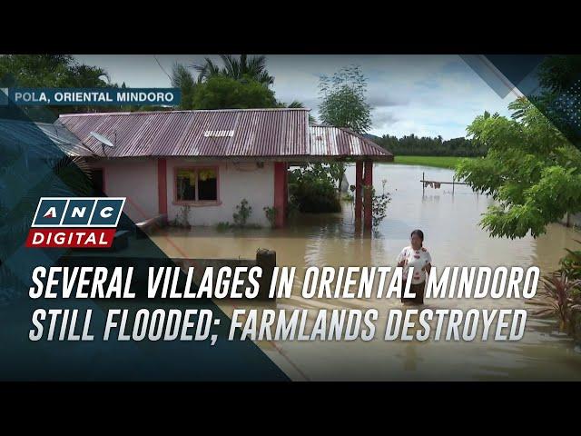 Several villages in Oriental Mindoro still flooded; farmlands destroyed | ANC