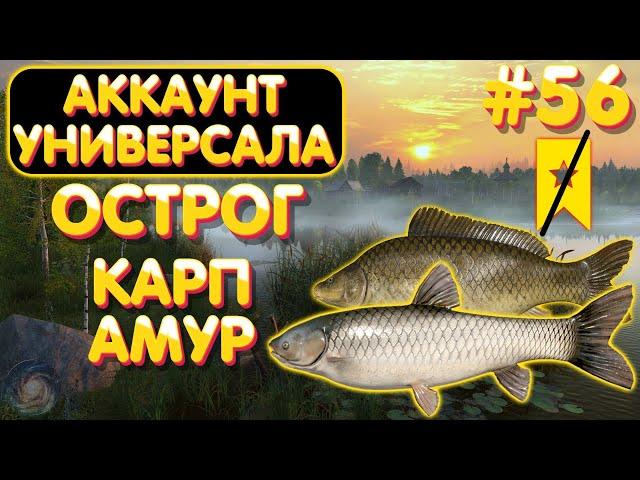 Аккаунт универсала #56 | Амур и Карп | оз. Старый Острог | Русская Рыбалка 4