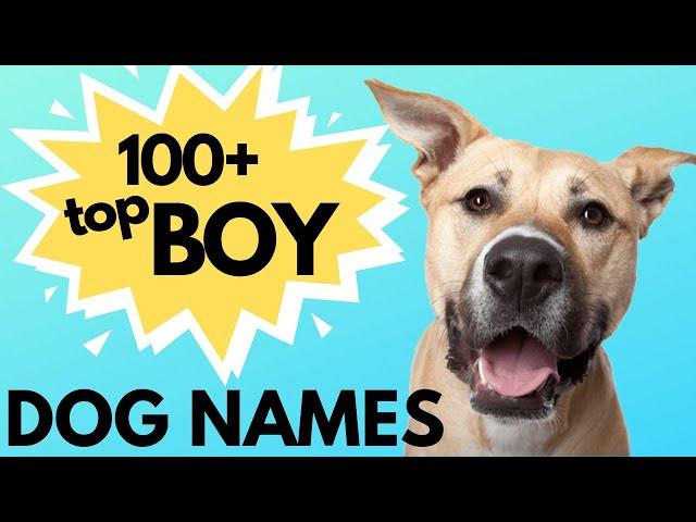 Top 100 Unique MALE Dog Names– Unusual Male Dog Names