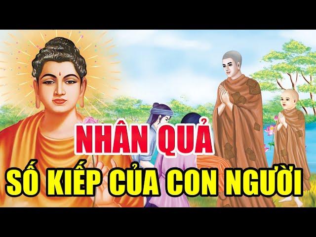 SỐ KIẾP CON NGƯỜI, Câu Chuyện Phật Giáo Hay Nhất Về Số Phận Của Con Người | Truyện Phật Giáo