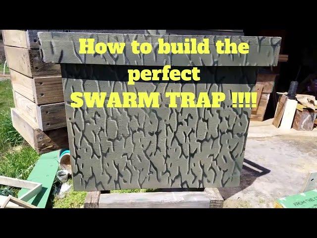 How to build a swarm trap or bait hive to catch honey bees. Part 1 of a season long series.