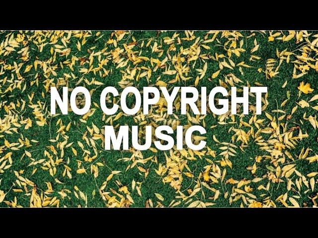 No Copyright Music for Cooking | Background Music | 5 Minute Crafts