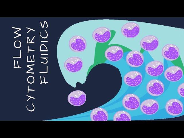 Flow cytometry fluidics (Intro to Flow Cytometry - Episode 2)