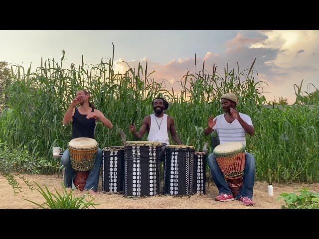 Djembe Drumming - Meendjaani