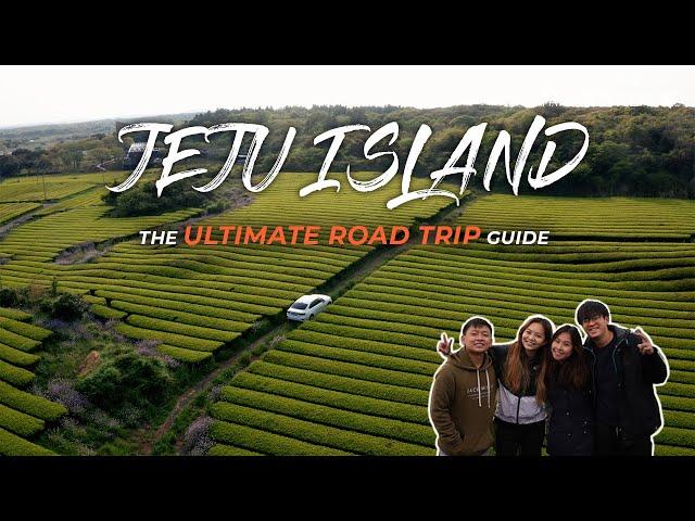 Get the Most Out of Your Road Trip in Jeju | Korea Travel Guide