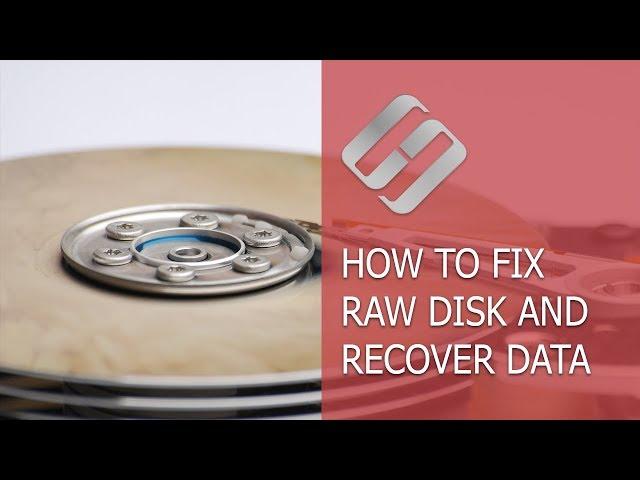 How to Fix a RAW Disk and Recover Data from an HDD with RAW Partitions in 2021️️