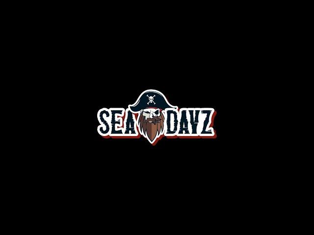 Краткое описание нашего сервера | SEA DAYZ