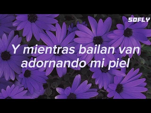 Y BAILA LENTO FLOR MORADA QUE ME RECUERDAS A MI AMADA     bugambilia-nasa histoires