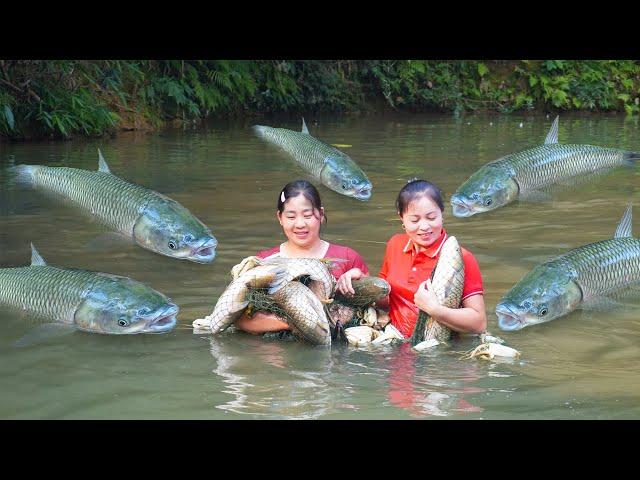 Harvesting Many Big Fish Goes To Market Sell, Before The Flood Season Comes | Daily Farm