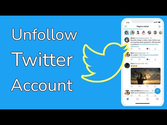 How to Unfollow Twitter Accounts?