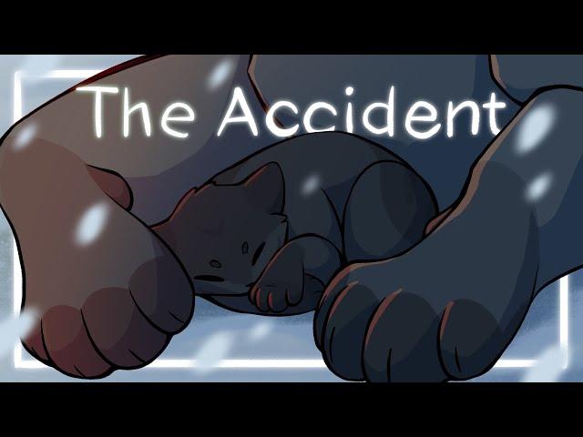 The Accident || Warriors OC PMV