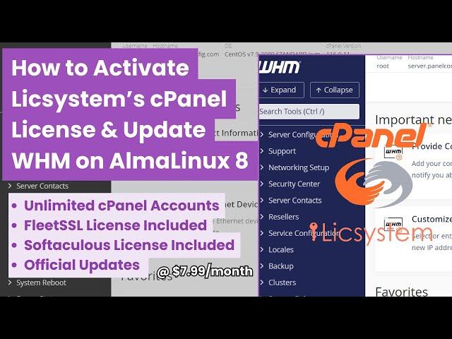 How to Activate Cheap cPanel License & Update WHM on AlmaLinux 8