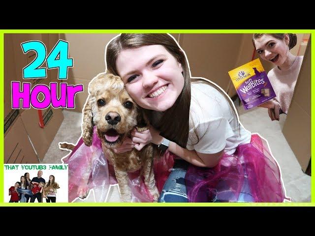 24 Hours In Box Fort Dog Mansion / That YouTub3 Family