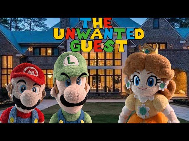 ChaosMarioBros: The unwanted guest!