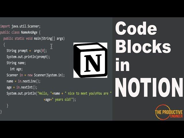 Code Blocks in Notion Guide