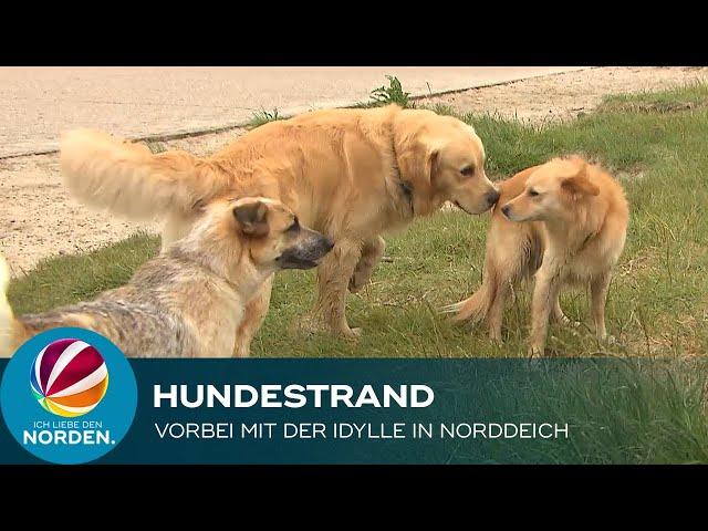 Hundestrand in Norddeich vor dem Aus – Besitzer verärgert