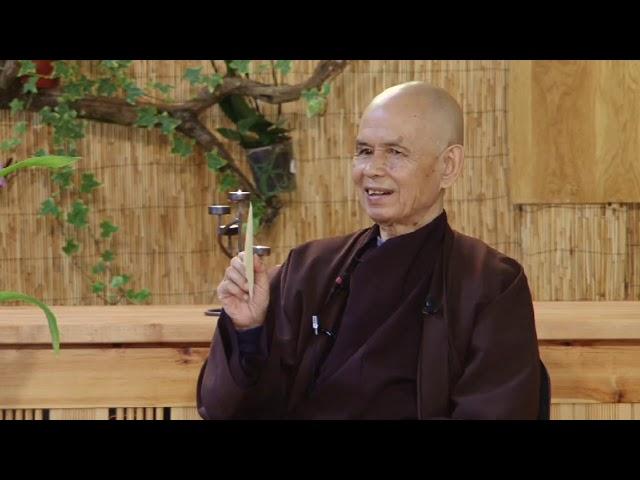 (2) I Don't Like the Idea of "No Birth and No Death" in Buddhism | Thich Nhat Hanh, 2014 06 21