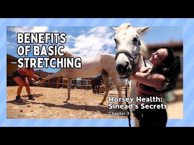 Horsey Health - Sinead's Secrets | Ch. 3 - The Benefits Of Basic Stretching