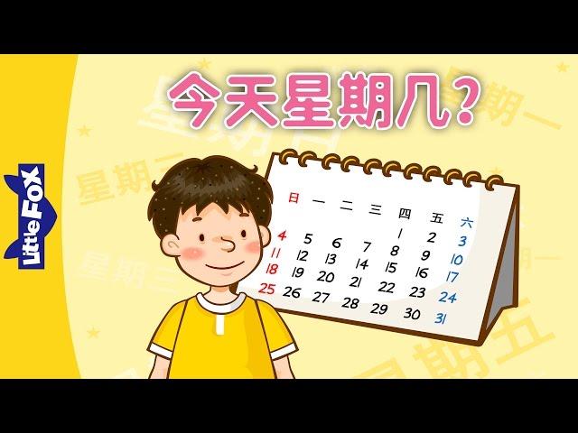 What Day Is It Today? (今天星期几？) | Learning Songs 1 | Chinese song | By Little Fox