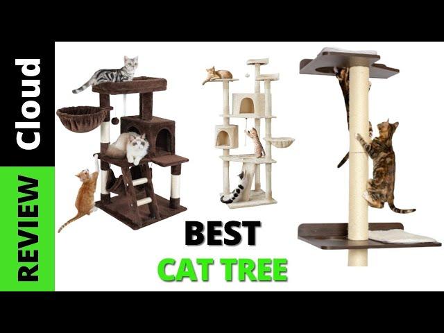 Cat Towers: Best Cat Trees On Amazon