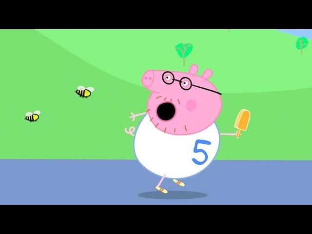 Peppa Pig Official Channel | Fun Run with Daddy Pig - Stay Fit with Peppa Pig