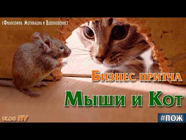 История с моралью Мыши и Кот. Бизнес притча про творческие идеи