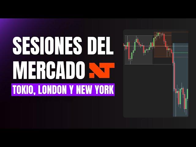 INDICADOR DE SESIONES DEL MERCADO PARA NINJATRADER 8