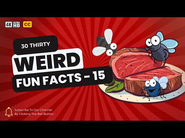 30 Weird Fun Facts You Won't Believe Are Real | Part 15 | Random Facts | Shocking Truths | Show Reel