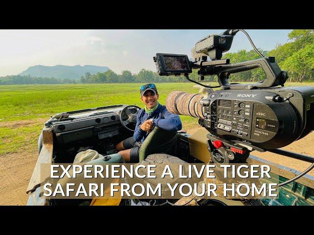 INDIA’S FIRST VIRTUAL SAFARI - EP1 | TIGER SAFARI LIVE |BANDHAVGARH NATIONAL PARK