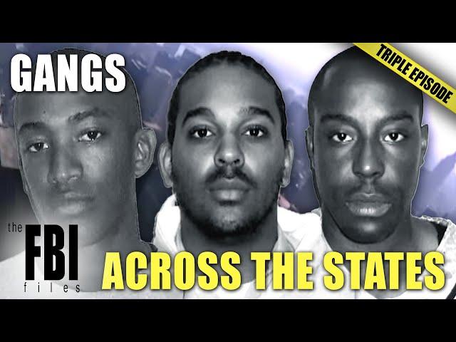 Gangs Across The States | TRIPLE EPISODE | The FBI Files