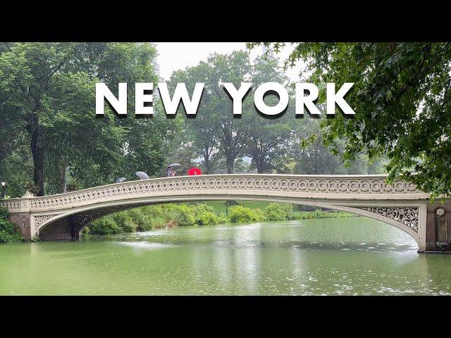 New York City Walking Tour [4K] Central Park Heavy Rain & Thunderstorm