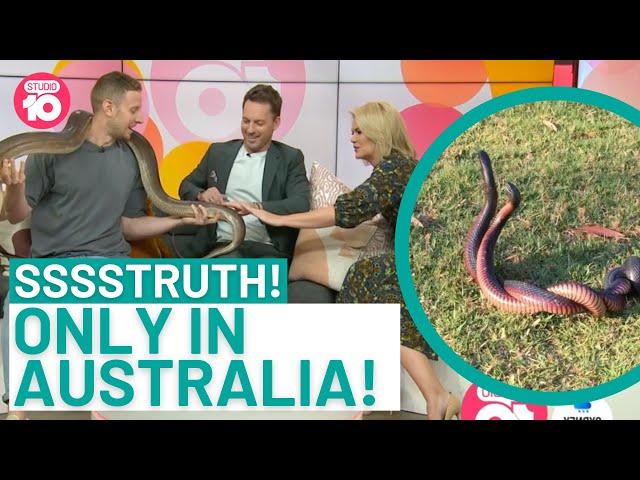 Sssstruth! Only In Australia | Studio 10