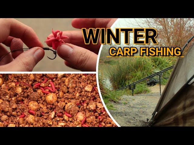 **WINTER CARP FISHING**Orchard Place Farm ꟾ Night Fishing ꟾ 2020