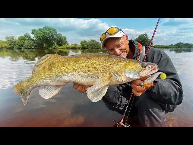 So findest du die besten Zander-Spots vom Ufer!