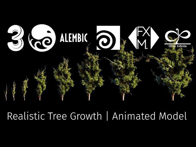 Realistic Tree Grow 3d Model | Procedural HIP Setup + Alembic Files (Animated)
