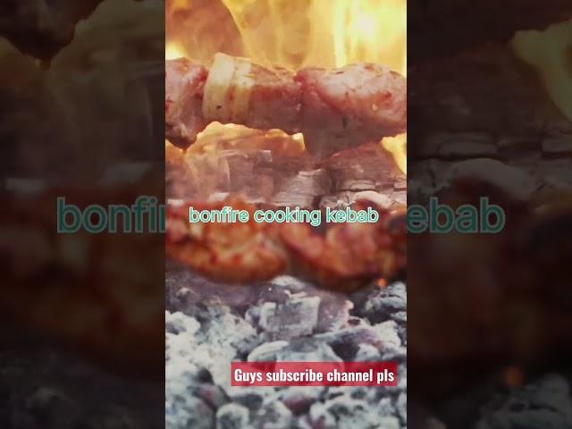 chicken kebab| bonfire cooking| चिकन कबाब|bonfire#shortsfeed #shorts